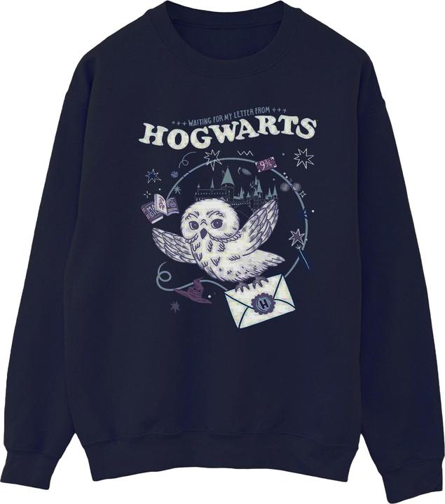 Owl Letter From Hogwarts Sweatshirt (XXL)