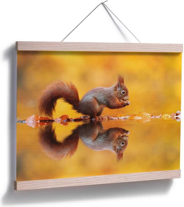 Image du produit Trenddeko van Duijn - Écureuil avec noix (60 x 50 cm)