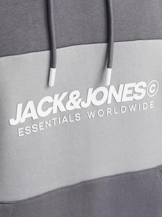 Actual product image Jack & Jones Jjelegacy Blocking Sweat Hood Noos (XS)