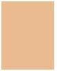 Actual product image Revlon ColorStay (Light Medium)