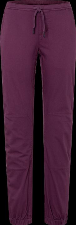 Actual product image Black Diamond Notion Climbing Pants (M)