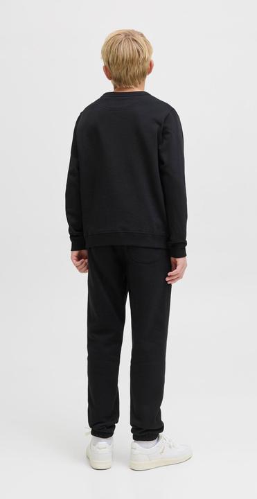 Actual product image Jack & Jones Relaxed Fit Hosen Junior Relaxed Fit Hosen (128)