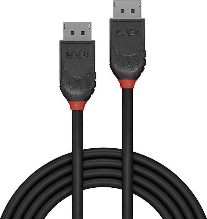 Produktbild Lindy DisplayPort — DisplayPort (0.50 m, DisplayPort)