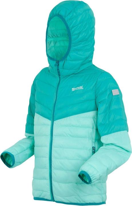 Image du produit Regatta - Veste à capuche HILLPACK - Enfant (170, 176)
