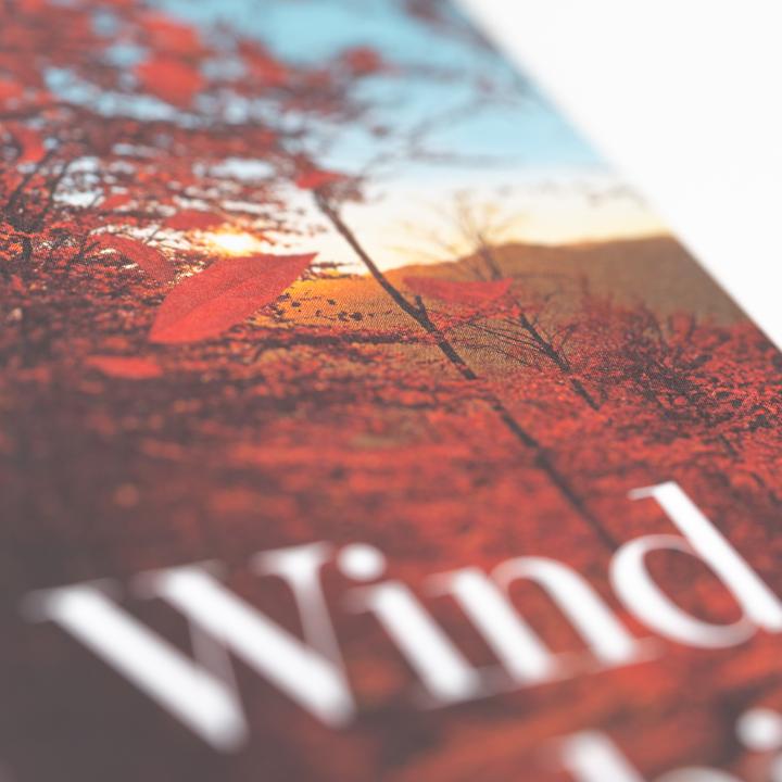 Produktbild Der Wind weht, wohin er will (Deutsch, Thomas Stauder, Susanna Tamaro, 2024)