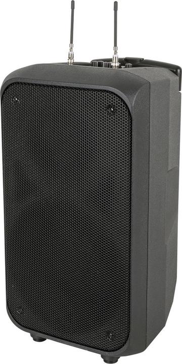 Immagine prodotto DAP-Audio PSS-110 MKIII
