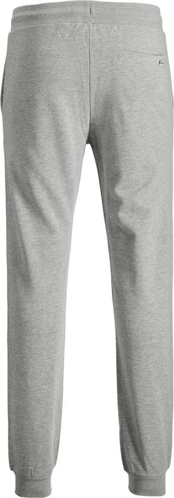 Actual product image Jack & Jones Gordon (L)