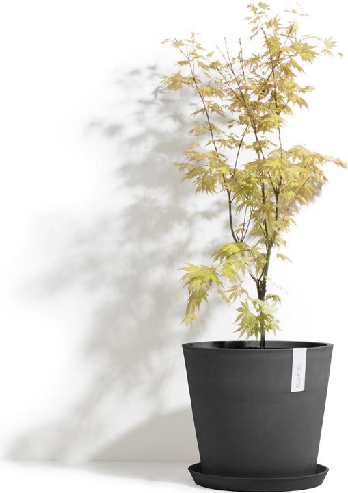 Produktbild Ecopots Amsterdam (40 cm)