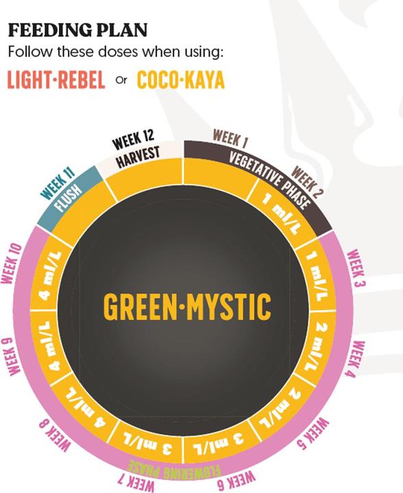 Image du produit BioBizz JuJu Royal Green Mystic 250ml (0.30 kg, 0.25 l)