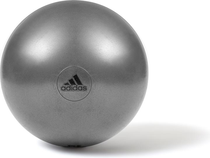 Actual product image adidas Exercise ball grey, Ø 55 cm (55 cm)