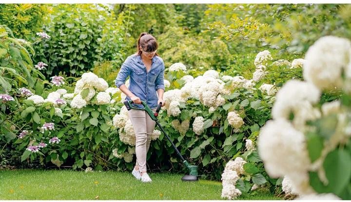 Actual product image Bosch Home & Garden EasyGrassCut 18V-230 cordless lawn trimmer (Trim line)