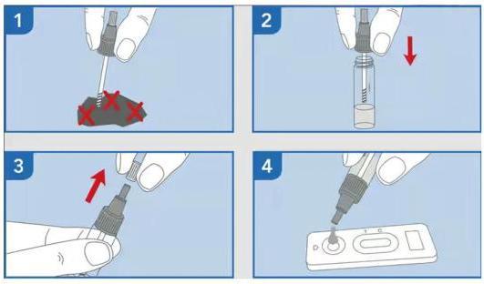Produktbild Prima Home Giardia Test (1 x)
