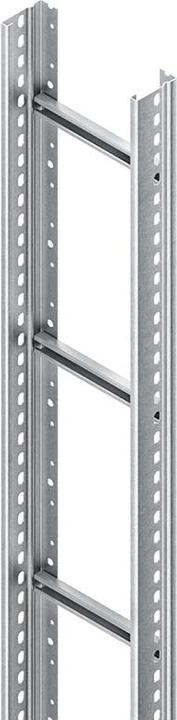 Immagine prodotto Niedax NIE STL60.303/3 Scala di risalita 60x300x3000 Distanza tra i pioli 300mm 1 kN