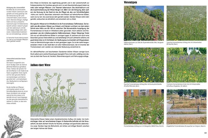 Produktbild Praxishandbuch Stadtnatur (Deutsch, Andrea Haslinger, Sabine Tschäppeler, 2024)