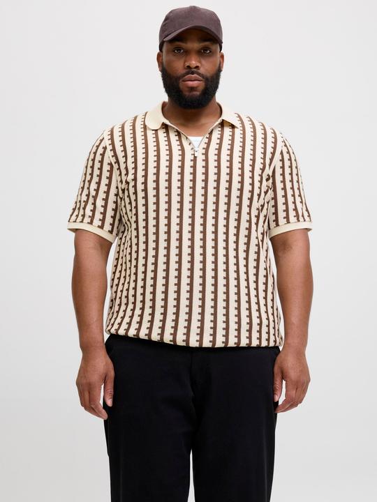 Actual product image Jack & Jones Plus Size Gestreift Poloshirt Poloshirt (3XL)