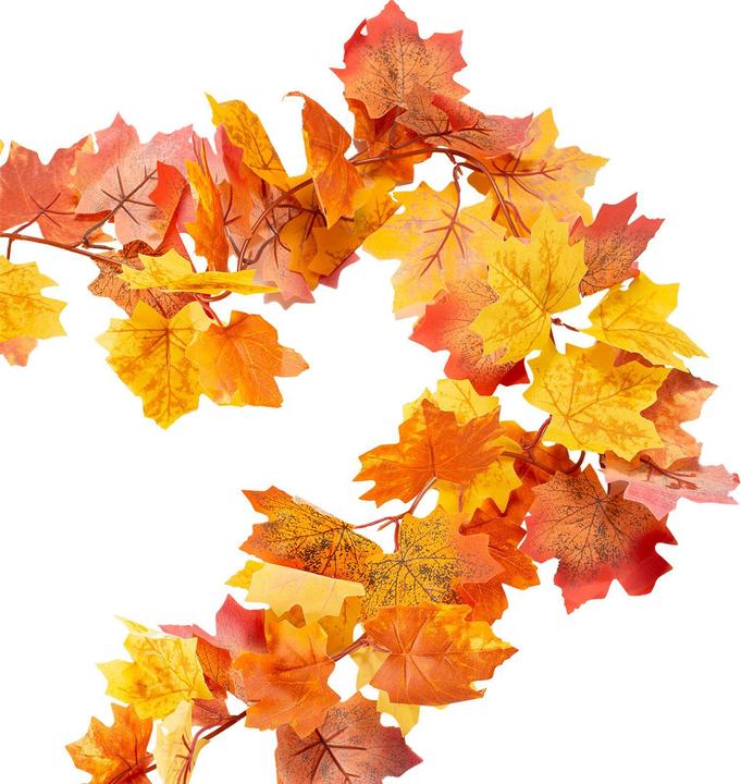 Produktbild IDIMEX Herbst (5 cm)