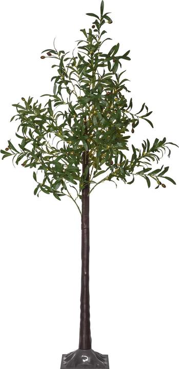 Produktbild Star Trading Dekorationsbaum Olivec, 178 LEDs, 180 cm, Grün (56 lm, IP44)