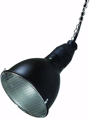 Actual product image Lucky Reptile Metal halide lamp