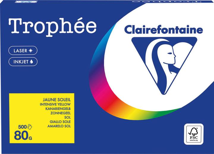 Immagine prodotto Clairefontaine Carta universale Trophée colorata (80 g/m², 500 x, A4)
