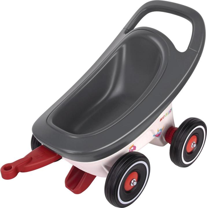 BIG Buggy