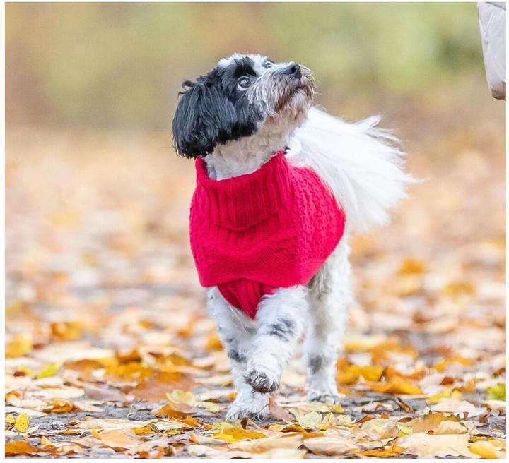 Actual product image Trixie Norwood M jumper, 50 cm, red (M, Dog jumper)