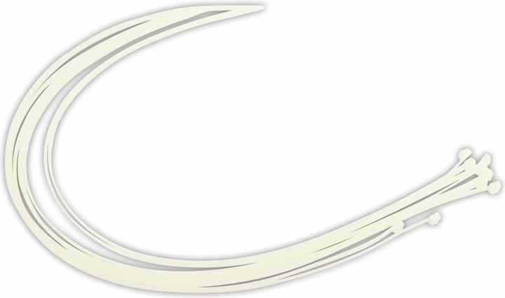 Image du produit BGS Assortiment de colliers plastique blanc 8,0 x 1000 mm 10 pièces (Serre-câbles velcro, 1000 mm, 10 pcs)