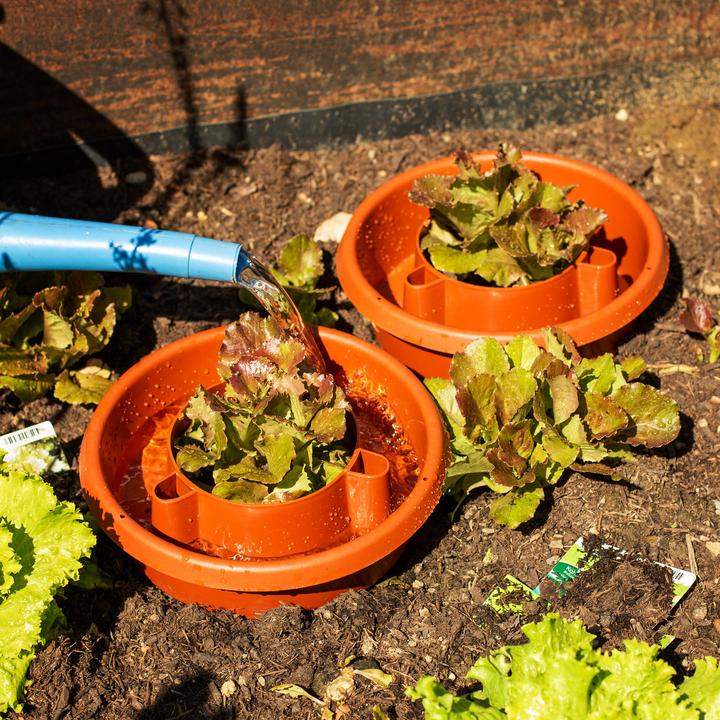 Produktbild UPP Bewässerungsringe Set Aquaringe Tomaten Pflanzenringe Töpfe Anzucht Topf (Tonkegel)