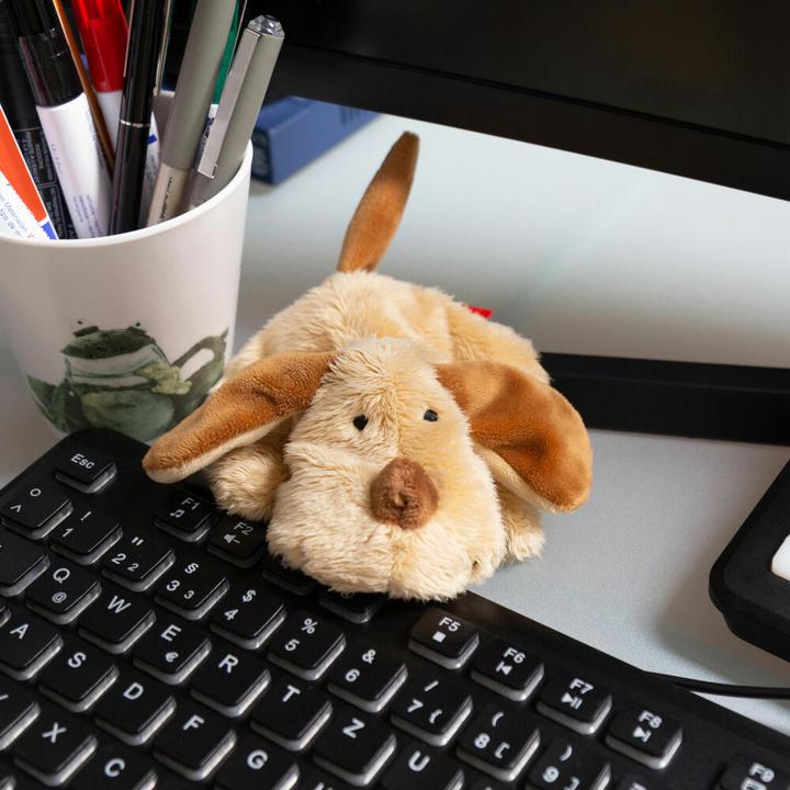 Produktbild Sigikid Mini Hund Cuddly Gadgets (5 cm)