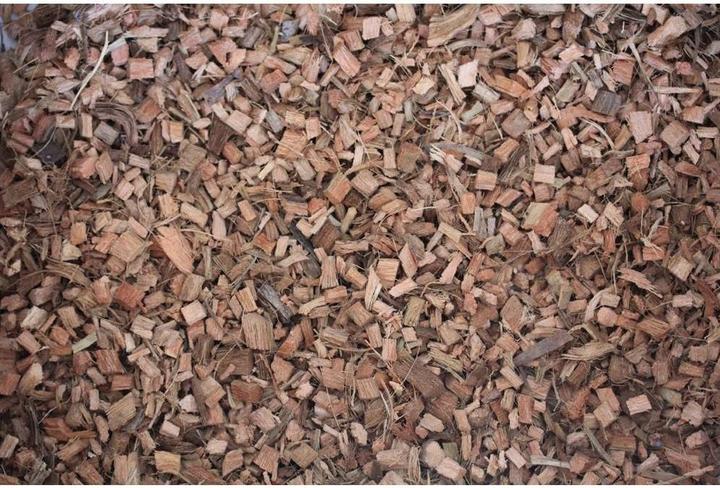 Actual product image Reptiles-Planet Coco Chips