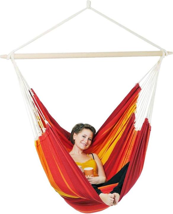 Actual product image Amazonas Brasil Giants (200 kg)