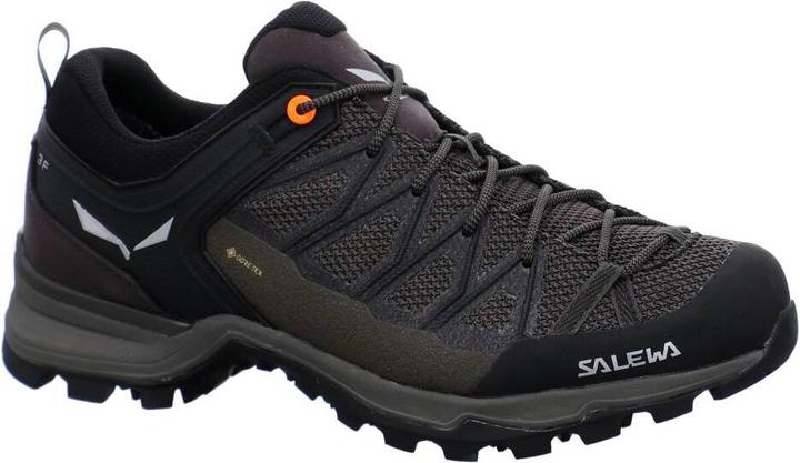 Produktbild Salewa Mountain Trainer Lite GORE-TEX (47)