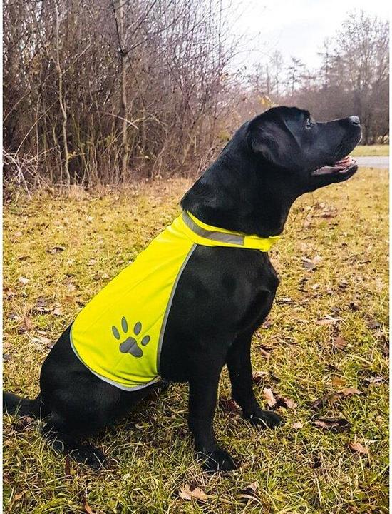 Image du produit Korntex Gilet de sécurité pour chiens (S)