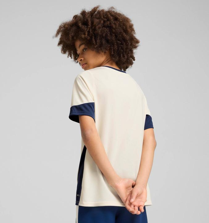 Actual product image Puma FPF Training Jersey Jr (140)