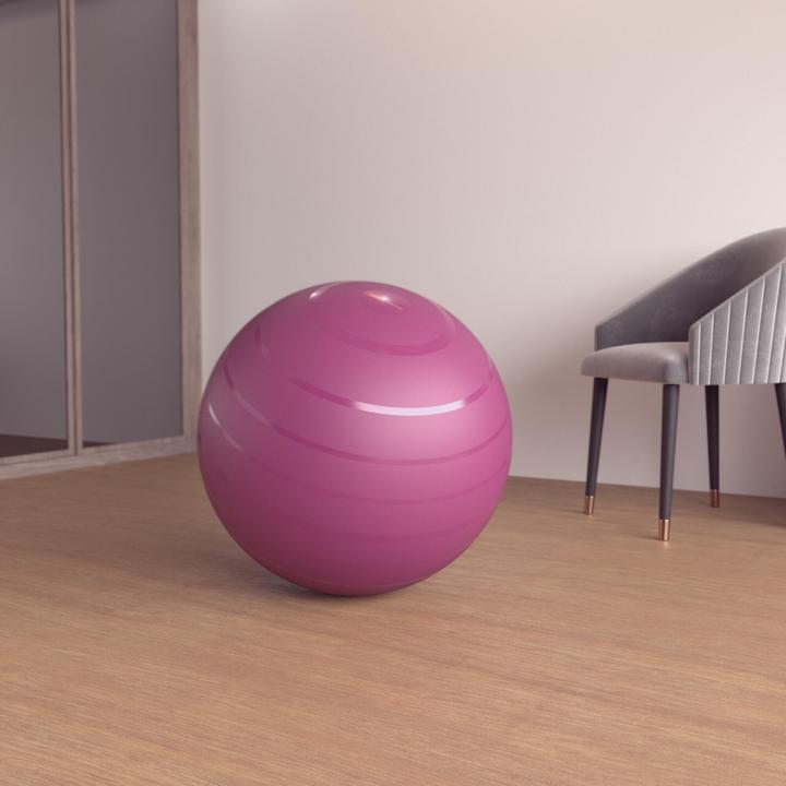 Image du produit Domyos Swiss Ball Basic (65 cm)