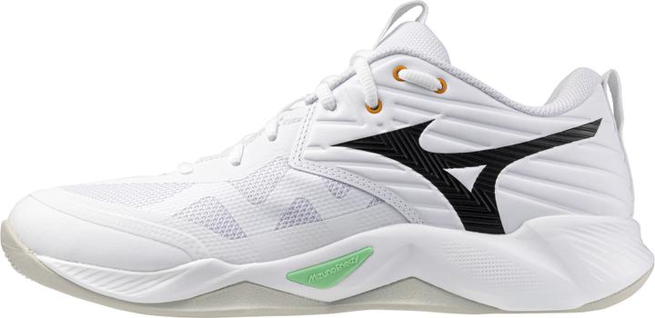 Mizuno Wave Momentum Pro