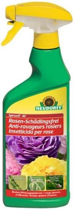 Produktbild Neudorff Spruzit AF Rosenspray (Pflanzen)