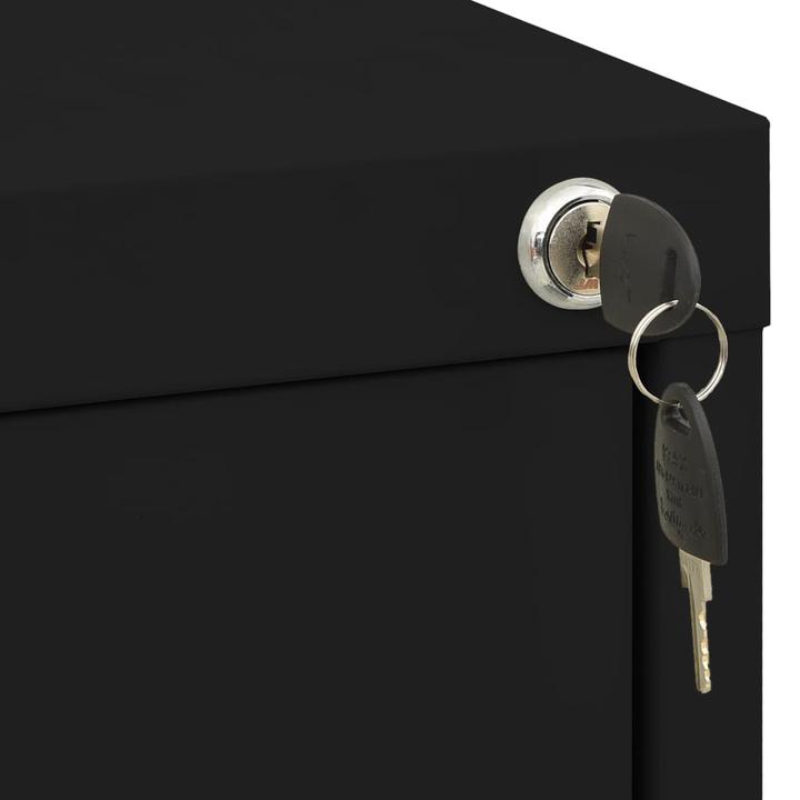 Immagine prodotto VidaXL Aktenschrank (46 x 62 x 72,5 cm)