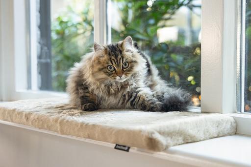 Produktbild Beeztees Fensterbankkissen Moza (Katze)