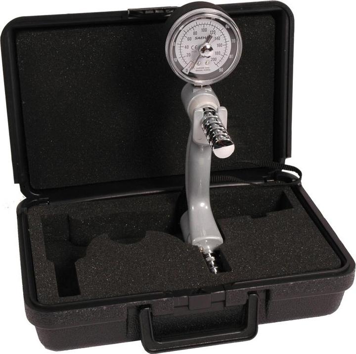 Saehan Handdynamometer SH5001