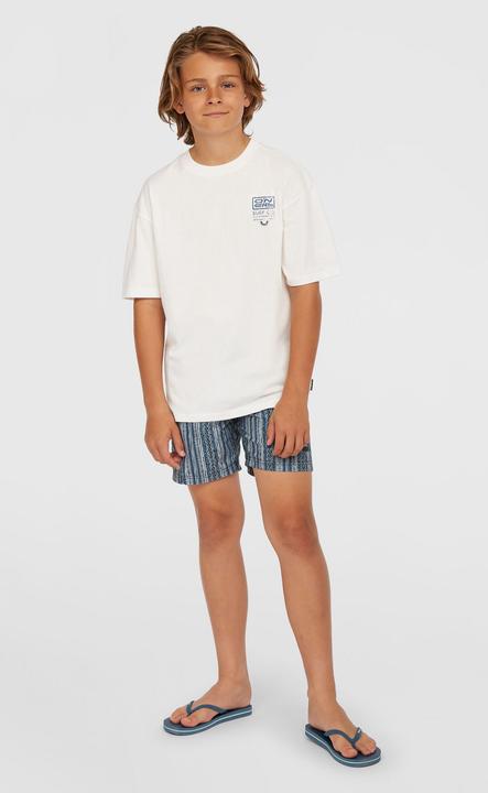Produktbild O'Neill CALI 14" SWIMSHORTS (152)