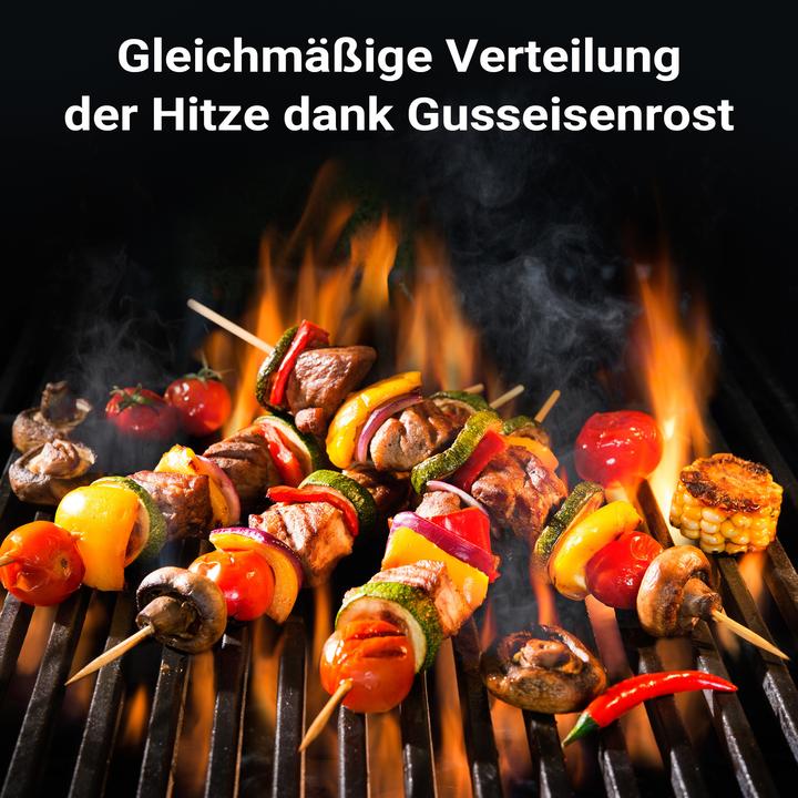 Produktbild Wiltec Gusseisen Grillrost 49,8x24,3x0,9cm Grill Rost Grillzubehör BBQ Gussrost