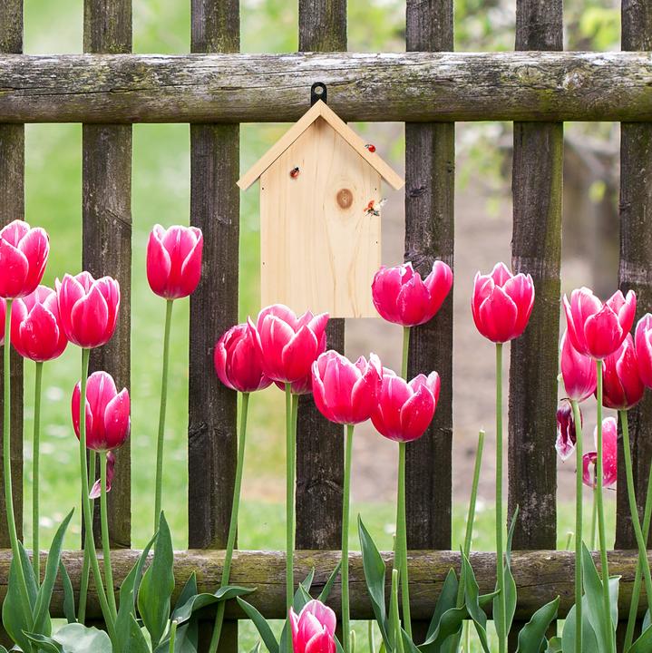 Productafbeelding Relaxdays lieveheersbeestje huis (Lieveheersbeestje)