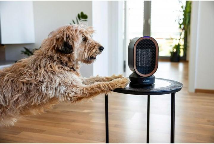 Produktbild Lauben Tischventilator & Heizung 2in1 600BB LBHFMDFH60BBA