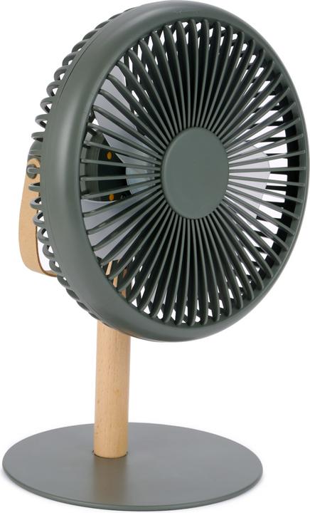 Image du produit Gingko Au-delà de