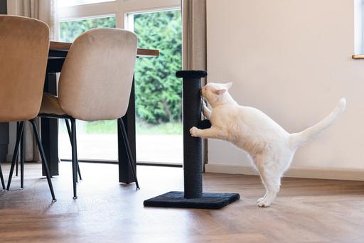 Actual product image Beeztees Serpa scratching post (60 cm, Black)