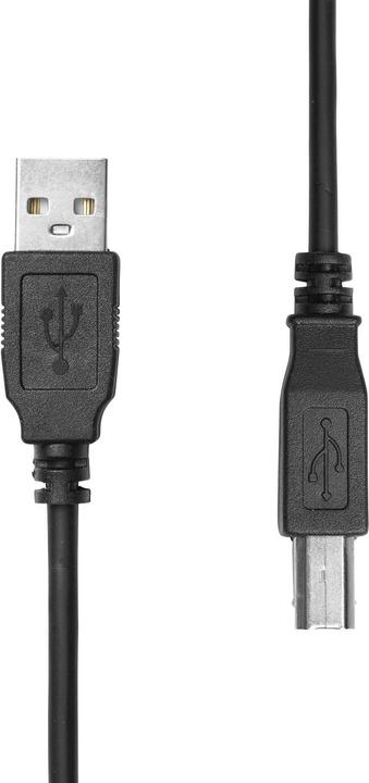 ProXtend Câble USB 2.0 A vers B M/M Noir 0.5M (0.50 m)