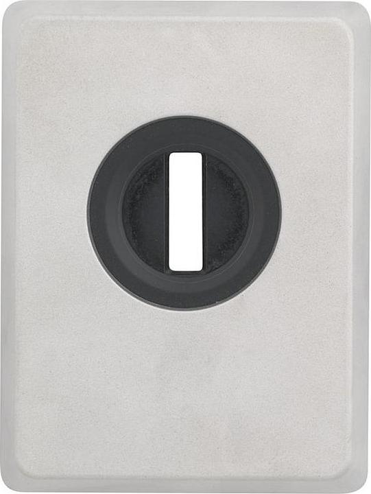 Actual product image Abus Armoured plate PZS70 with pull protection, silver