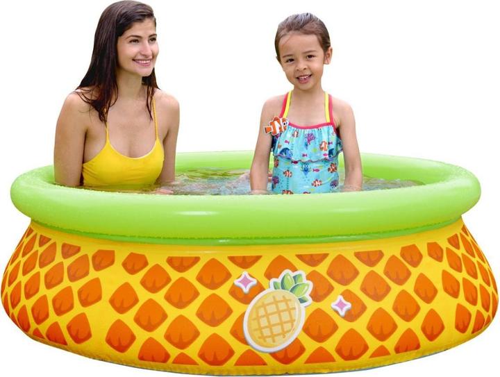 Actual product image Jilong Ananas