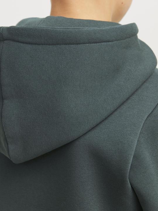Actual product image Jack & Jones Gedruckt Kapuzenpullover Junior Kapuzenpullover (176)