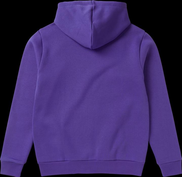 Produktbild Mystic Icon Hood Sweat (XL)